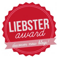 liebster award - Fêtes vous même