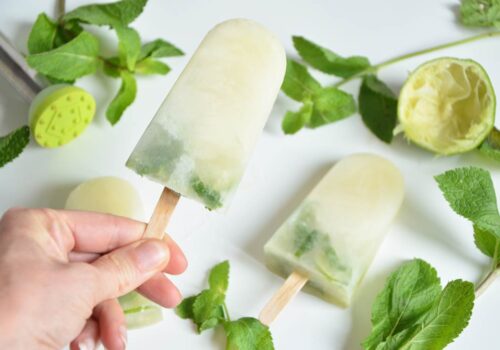 Glaces Mojito - Fêtes vous même