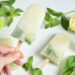 Glaces Mojito - Fêtes vous même