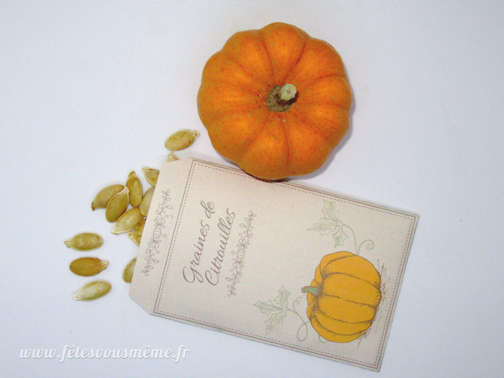 Graines de citrouille - Fêtes vous même