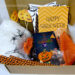 Composition - Pack Festif Halloween - Fêtes vous même