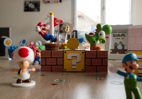 Module Mario Bros - Fêtes vous Même